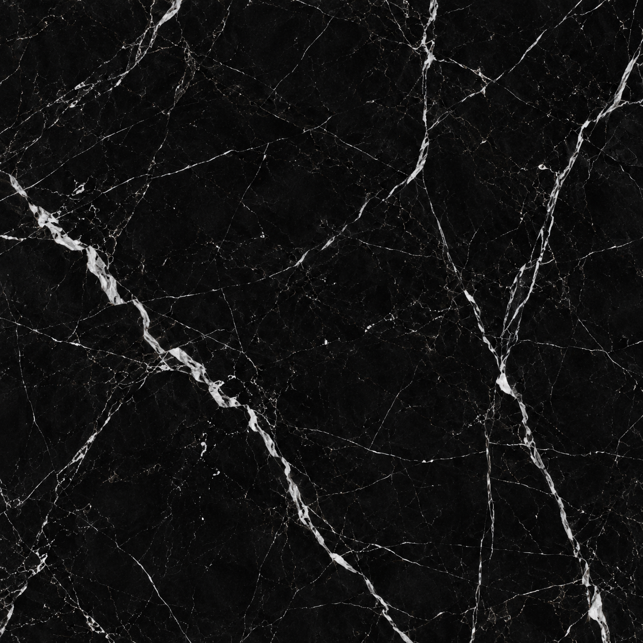 PORCELAINE NERO MARQUINA
